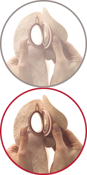 Hollister Integrated Floating Flange